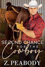 Second Chance for the Cowboy