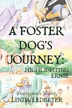 A Foster Dog's Journey