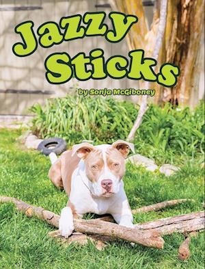 Jazzy Sticks