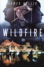 Wildfire 