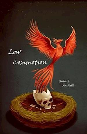 Low Commotion