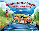 The Adventures of Cranpup - Casey Gets a New Puppy 