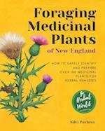 Foraging Medicinal Plants of New England