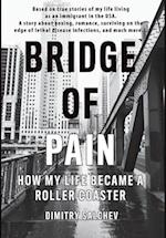 BRIDGE OF PAIN: How my life became a roller coaster 