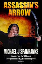 Assassin's Arrow