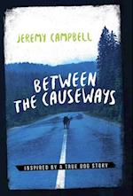 Between the Causeways 