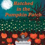 Hatched in the Pumpkin Patch 