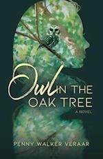 Owl in the Oak Tree 