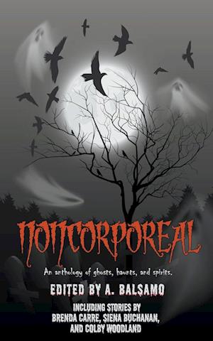 Noncorporeal