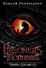Prisoners of Thornbrill: a clean young adult portal epic fantasy adventure trilogy with siblings, magic, and dragons 