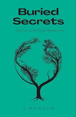 Buried Secrets: Book 4 in the Shady Woods series - a fun, easy to read paranormal 