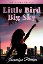 Little Bird, Big Sky 