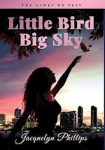 Little Bird, Big Sky 