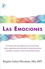 LAS EMOCIONES.