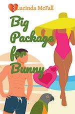 Big Package for Bunny 