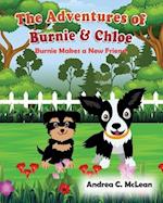 The Adventures of Burnie & Chloe