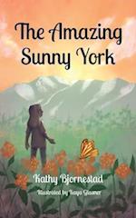 The Amazing Sunny York 