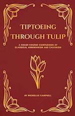 Tiptoeing Through Tulip