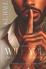 Will You Say My Name: A Potomac Falls Novella Book Two 