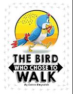 The Bird Who Chose to Walk 