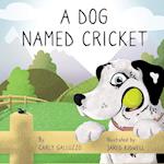 A Dog Named Cricket 
