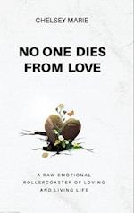 NO ONE DIES FROM LOVE: A RAW EMOTIONAL ROLLERCOASTER OF LOVING AND LIVING LIFE 