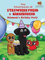 The Adventures of Strawberryhead & Gingerbread: Solomon's Birthday Party 