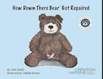 How Down There Bear Got Repaired