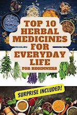 Top 10 Herbal Medicines for Everyday Life for Beginners 