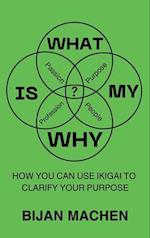 What Is My WHY?