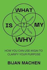 What Is My WHY?