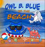 Owl B. Blue at the Beach