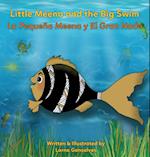 LITTLE MEENA AND THE BIG SWIM