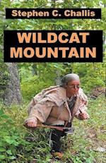 Wildcat Mountain