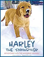 Harley the Snowdiver