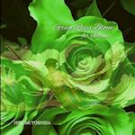 Green Roses Bloom for Icarus