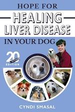 Hope for Healing Liver Disease in Your Dog