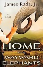 Home for Wayward Elephants