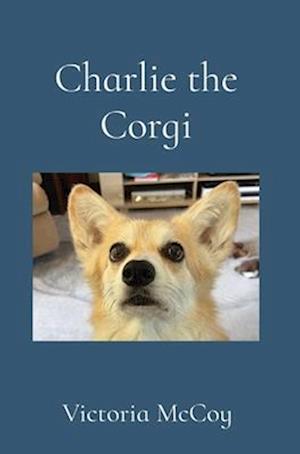 Charlie the Corgi