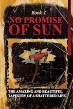 No Promise of Sun, Book 1