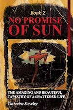 No Promise of Sun, Book 2