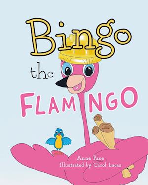 Bingo the Flamingo