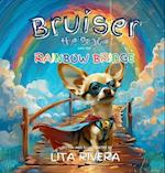 Bruiser the Brave and the Rainbow Bridge