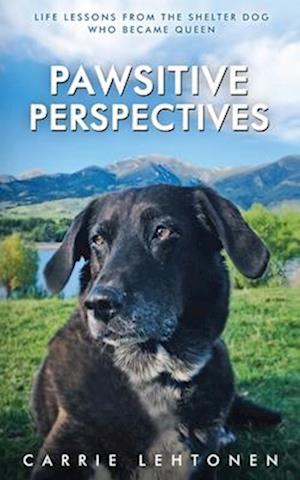 Pawsitive Perspectives