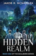 The Hidden Realm