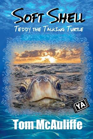 Soft Shell - Teddy the Talking Turtle