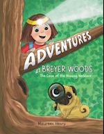 Adventures at Breyer Woods