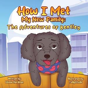 How I Met My New Family