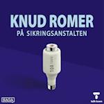 Knud Romer på Sikringsanstalten