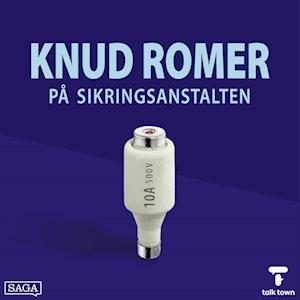 Knud Romer på Sikringsanstalten